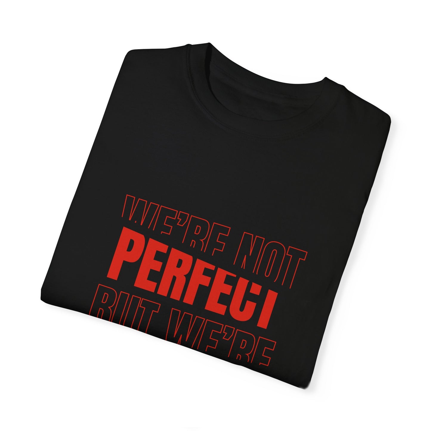 We're Not Perfect But We're Family! (Unisex T-shirt)